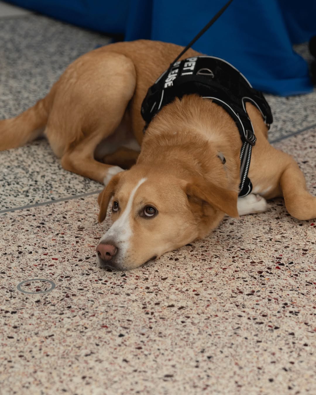 Normandale Public Safety hosted an "Ask Me Anything" event today, connecting our students directly with our dedicated "P...