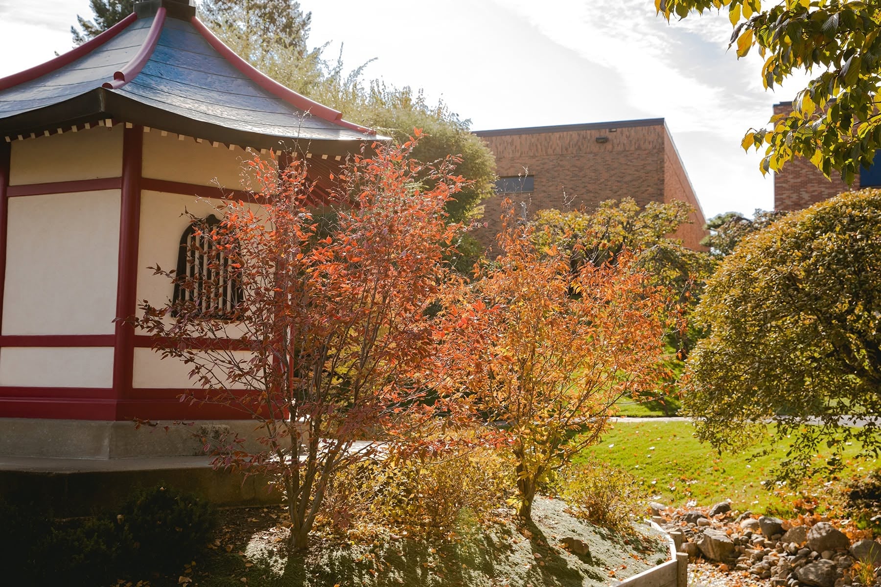 We hear Normandale looks pretty good in the Fall &#55356&#57154 Come visit your college with Fall colors this October! #NormandaleCo...